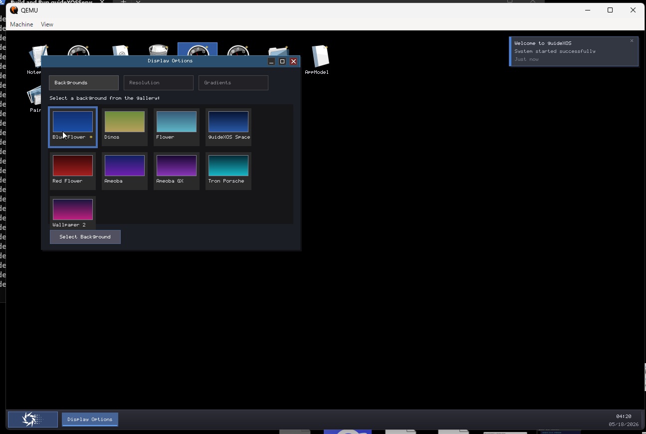 Display Options