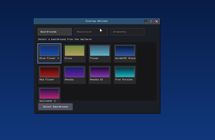 Display Options Themes
