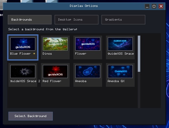 guideXOS Server Display Options